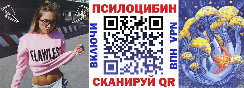 мега tor нарко площадка какой сайт Псилоцибиновые грибы Psilocybine cubensis Тырныауз